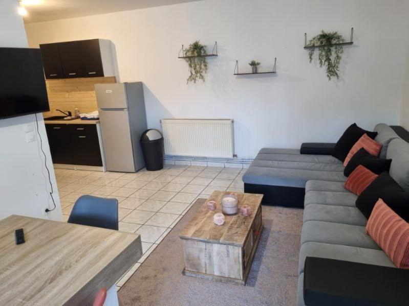 Apartment Solesmes